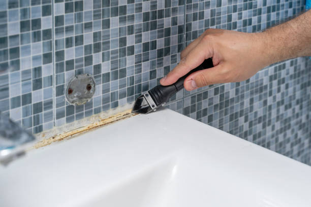Best Post-Flood Mold Remediation in Troy, TX