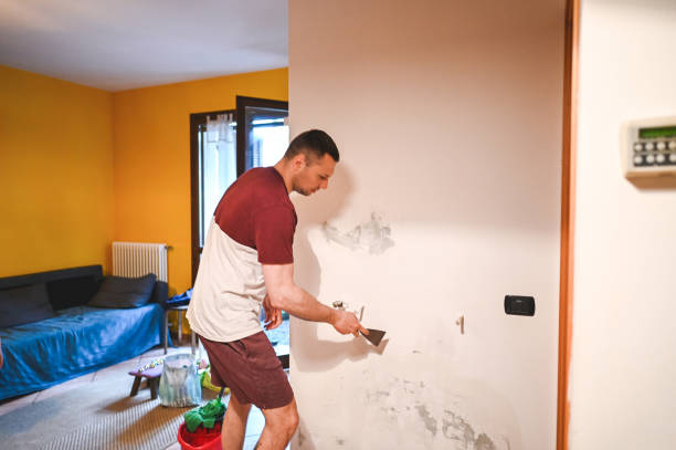 Best Attic Mold Remediation in Troy, TX